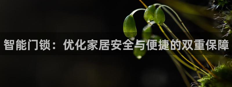富联娱乐元歌：智能门锁：优化家居安全与便捷的双重保障