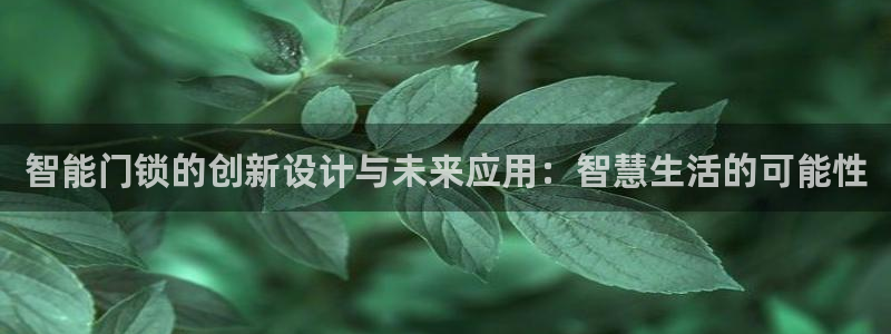 富联娱乐登录测速怎么弄：智能门锁的创新设计与未来应用：智慧生