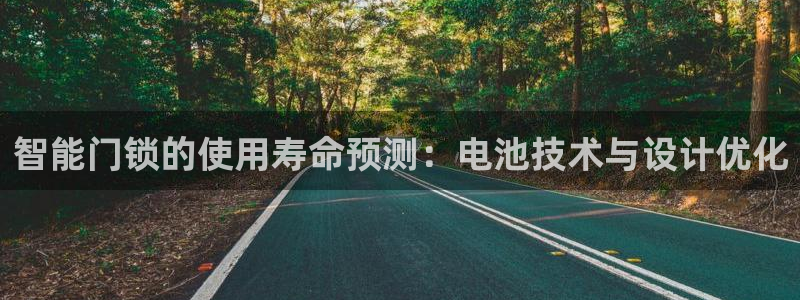 富联娱乐招商主管部门：智能门锁的使用寿命预测：电池技术与设计