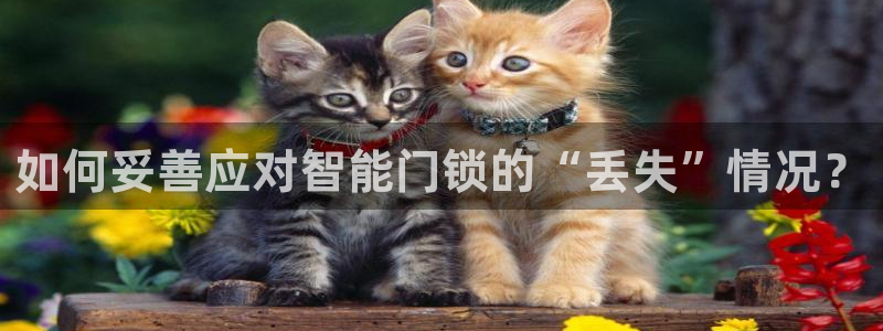 富联娱乐地址：如何妥善应对智能门锁的“丢失”情况？