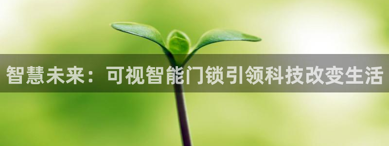 富联娱乐招商主管是谁啊：智慧未来：可视智能门锁引领科技改变生
