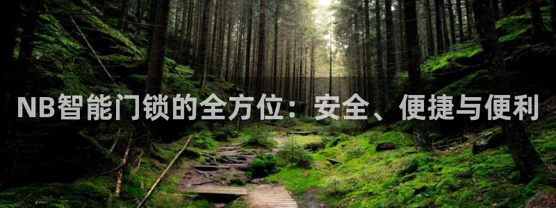 富联娱乐在线网站：NB智能门锁的全方位：安全、便捷与便利