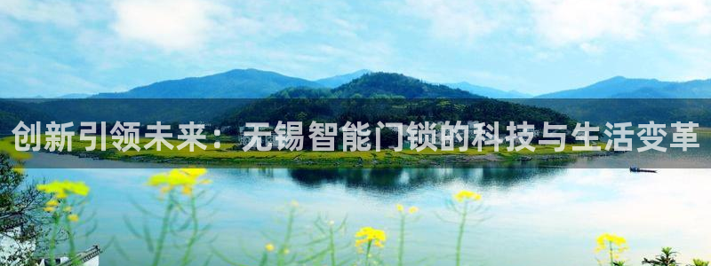 富联娱乐代理是谁做的呀：创新引领未来：无锡智能门锁的科技与生