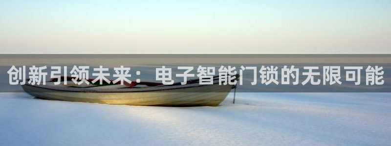 富联娱乐代理是谁的公司：创新引领未来：电子智能门锁的无限可能