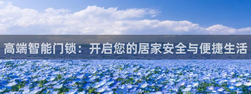 富联娱乐平台注册：高端智能门锁：开启您的居家安全与便捷生活