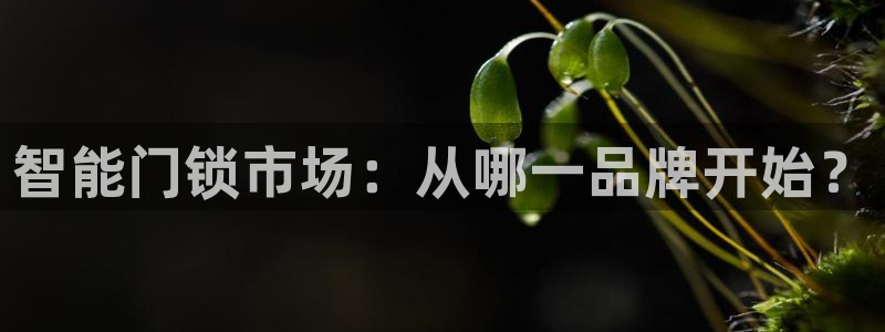 富联娱乐最新消息今天：智能门锁市场：从哪一品牌开始？