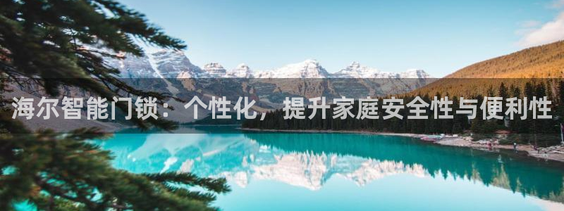 富联娱乐太究7276O：海尔智能门锁：个性化，提升家庭安全性