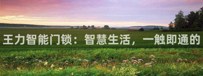 富联娱乐官网注册入口：王力智能门锁：智慧生活，一触即通的