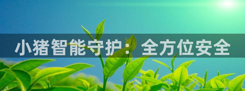 富联娱乐招商主管是谁啊：小猪智能守护：全方位安全