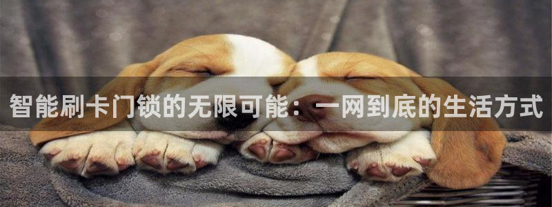富联娱乐官网下载：智能刷卡门锁的无限可能：一网到底的生活方式