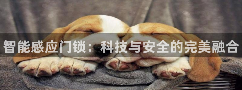 富联娱乐乙67OO6：智能感应门锁：科技与安全的完美融合