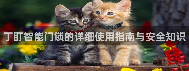 富联娱乐主管去天神779O3：丁盯智能门锁的详细使用指南与安