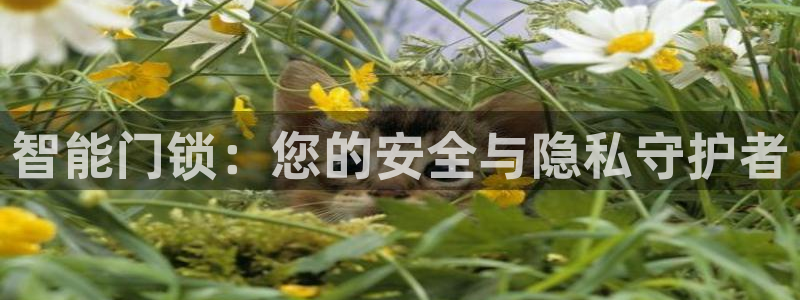 富联娱乐代理怎么样了啊：智能门锁：您的安全与隐私守护者