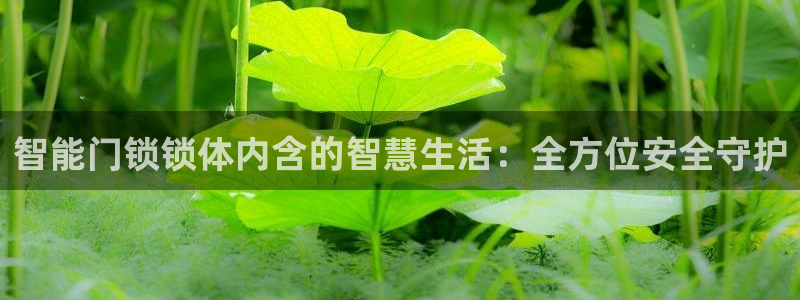 广州联富大厦鼎盛娱乐：智能门锁锁体内含的智慧生活：全方位安全