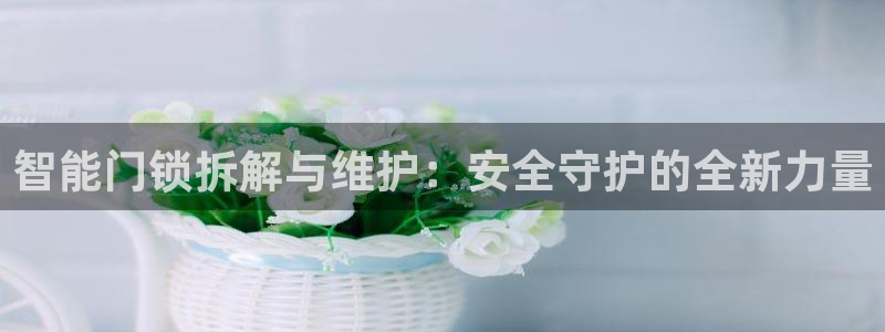 富联娱乐地址查询：智能门锁拆解与维护：安全守护的全新力量