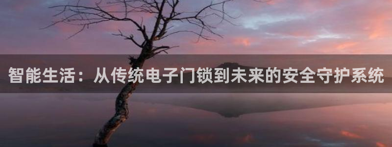 富联娱乐丁六七伍一三八：智能生活：从传统电子门锁到未来的安全