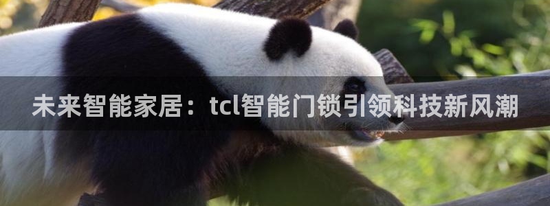 富联娱乐信誉怎么样：未来智能家居：tcl智能门锁引领科技新风