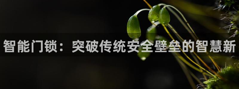 富联娱乐找527b.cn升哥：智能门锁：突破传统安全壁垒的智
