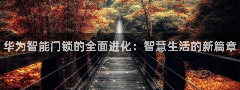 富联2娱乐元哥微博号：华为智能门锁的全面进化：智慧生活的新篇