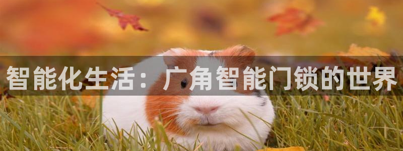 富联娱乐招商命判官333OO：智能化生活：广角智能门锁的世界
