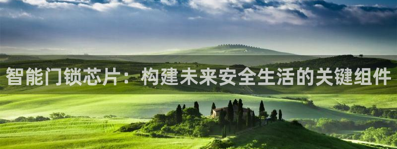 佰富联娱乐团购是真的吗：智能门锁芯片：构建未来安全生活的关键