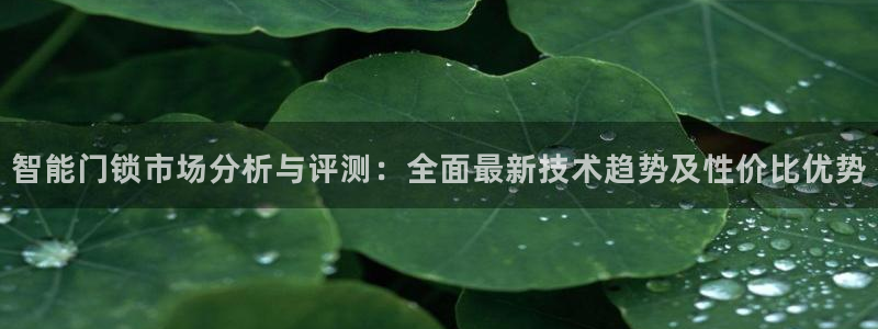 富联娱乐官网下载地址：智能门锁市场分析与评测：全面最新技术趋
