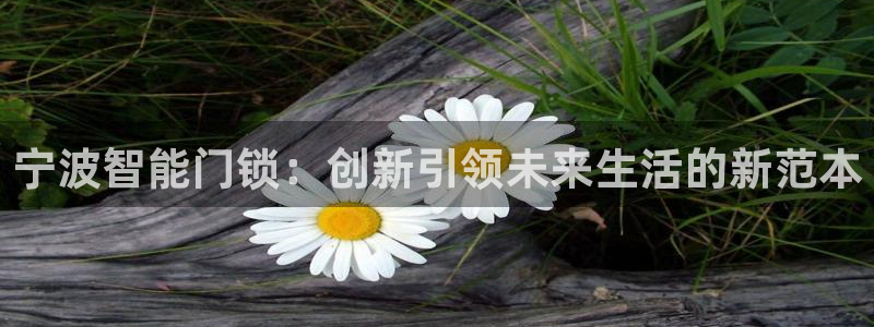 富联娱乐主管是谁啊：宁波智能门锁：创新引领未来生活的新范本