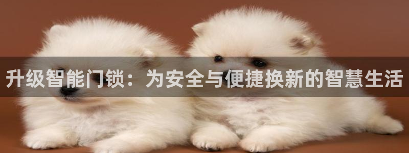 富联娱乐注册毛判官333OO：升级智能门锁：为安全与便捷换新