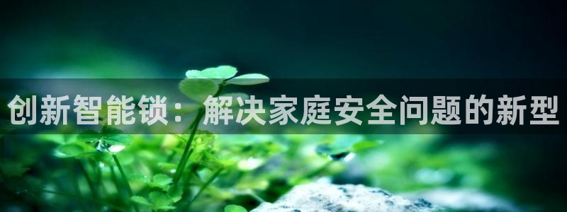 富联娱乐平台登录地址在哪里看：创新智能锁：解决家庭安全问题的