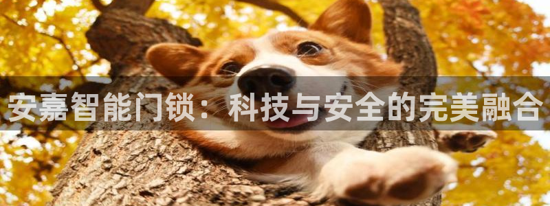 富联2娱乐贴吧官网：安嘉智能门锁：科技与安全的完美融合