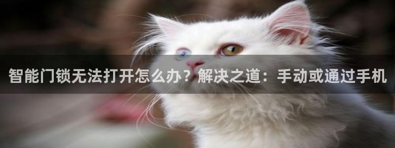 富联娱乐招商咱7O777：智能门锁无法打开怎么办？解决之道：