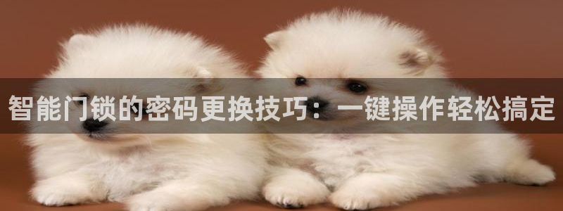 天系列富联娱乐：智能门锁的密码更换技巧：一键操作轻松搞定
