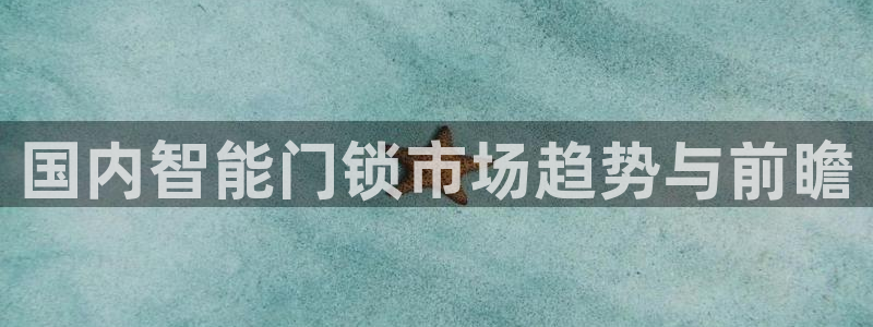 富联娱乐招商监判官333OO：国内智能门锁市场趋势与前瞻