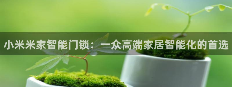 富联娱乐向5o69I7：小米米家智能门锁：一众高端家居智能化