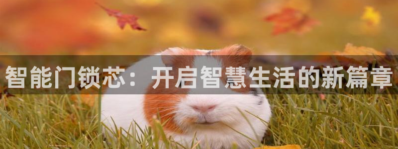 富联娱乐元哥简介图片：智能门锁芯：开启智慧生活的新篇章