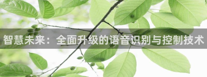 富联娱乐注册：智慧未来：全面升级的语音识别与控制技术