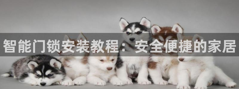 富联2娱乐平台注册：智能门锁安装教程：安全便捷的家居
