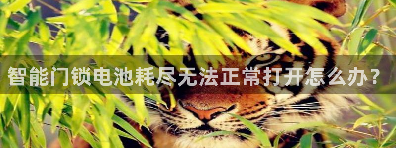 富联娱乐资讯官网：智能门锁电池耗尽无法正常打开怎么办？