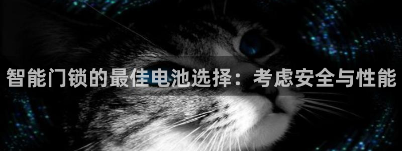 富联娱乐力67OO6：智能门锁的最佳电池选择：考虑安全与性能