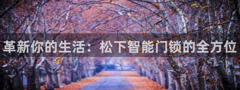 莱西联富娱乐会所电话：革新你的生活：松下智能门锁的全方位