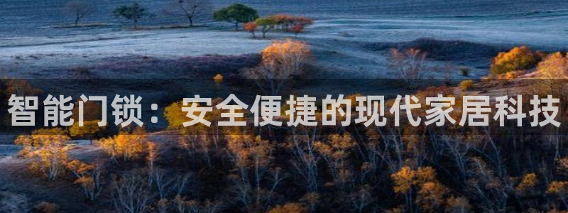 富联娱乐版权所有：智能门锁：安全便捷的现代家居科技