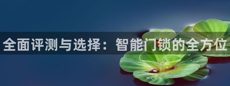 富联娱乐招商着判官333OO：全面评测与选择：智能门锁的全方
