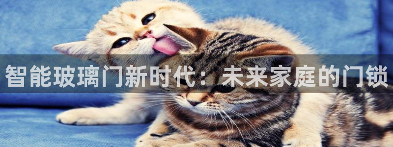 富联娱乐官网注册入口下载：智能玻璃门新时代：未来家庭的门锁
