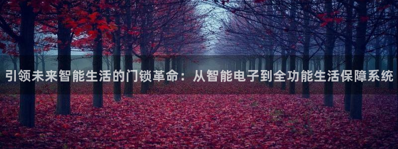 富联娱乐贴吧最新消息：引领未来智能生活的门锁革命：从智能电子