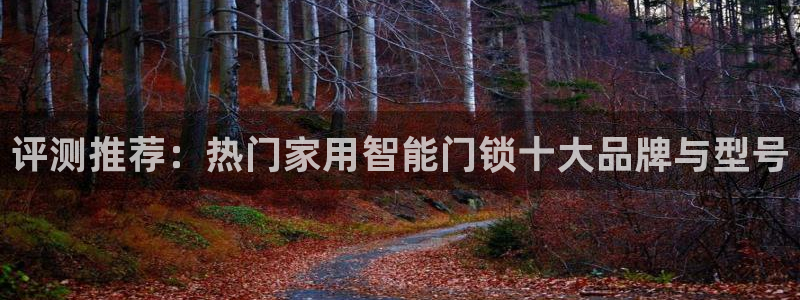富联娱乐客户端怎么下载：评测推荐：热门家用智能门锁十大品牌与