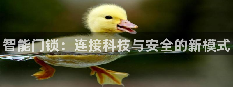 天系列富联娱乐：智能门锁：连接科技与安全的新模式