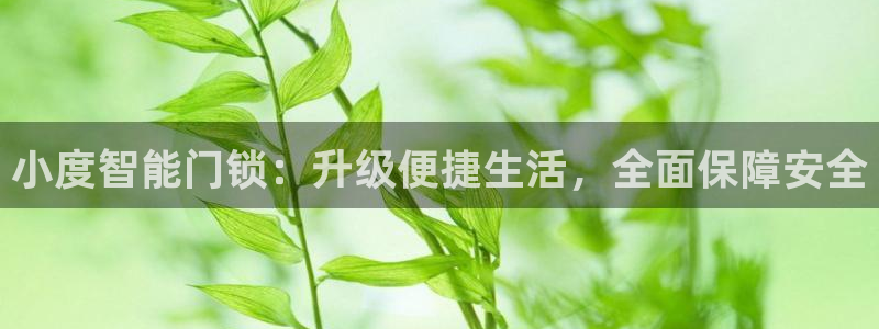 富联娱乐主营业务：小度智能门锁：升级便捷生活，全面保障安全