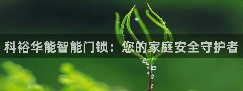 富联娱乐各究7276O：科裕华能智能门锁：您的家庭安全守护者
