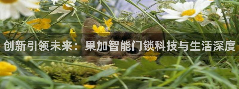 富联娱乐招商括判官333OO：创新引领未来：果加智能门锁科技