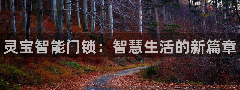 富联娱乐官网下载安卓版：灵宝智能门锁：智慧生活的新篇章